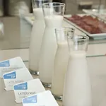 Nh Linate Hotel
