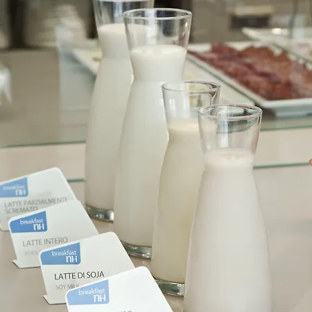 Nh Linate Hotel